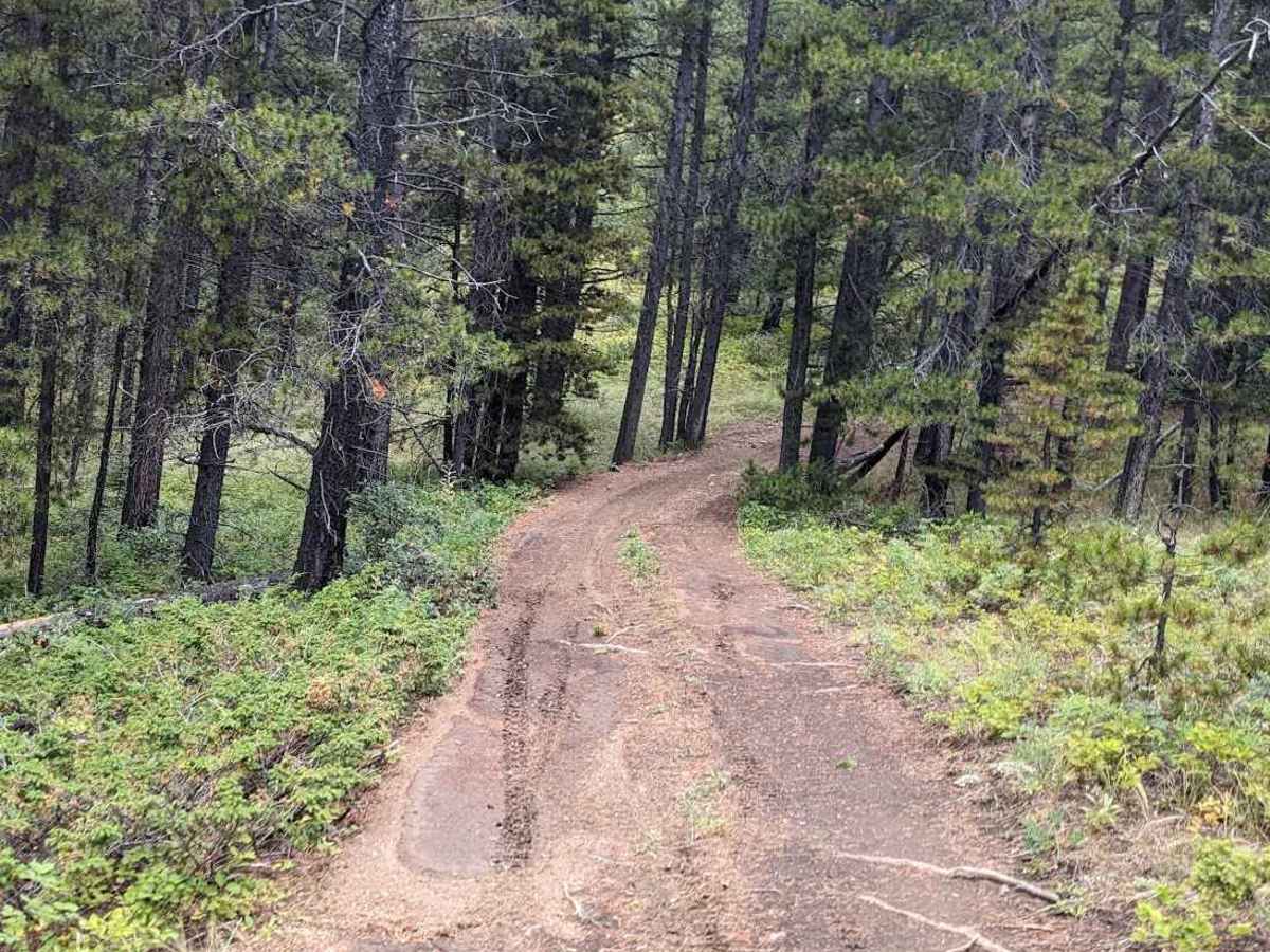 Wintering Mountain Trail 229 photo 6