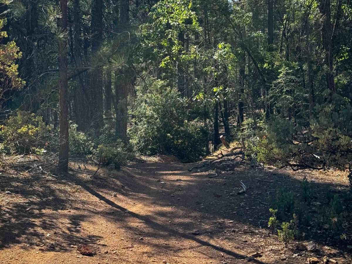 Trail 3 ATV (11E18)  photo 5