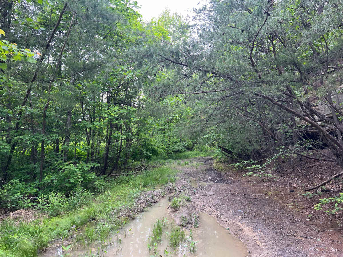Q58 - Wildcat Hole photo 4