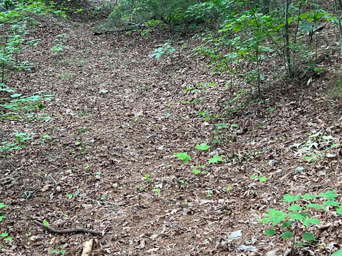 Mikles Run - FS 94364A photo 5
