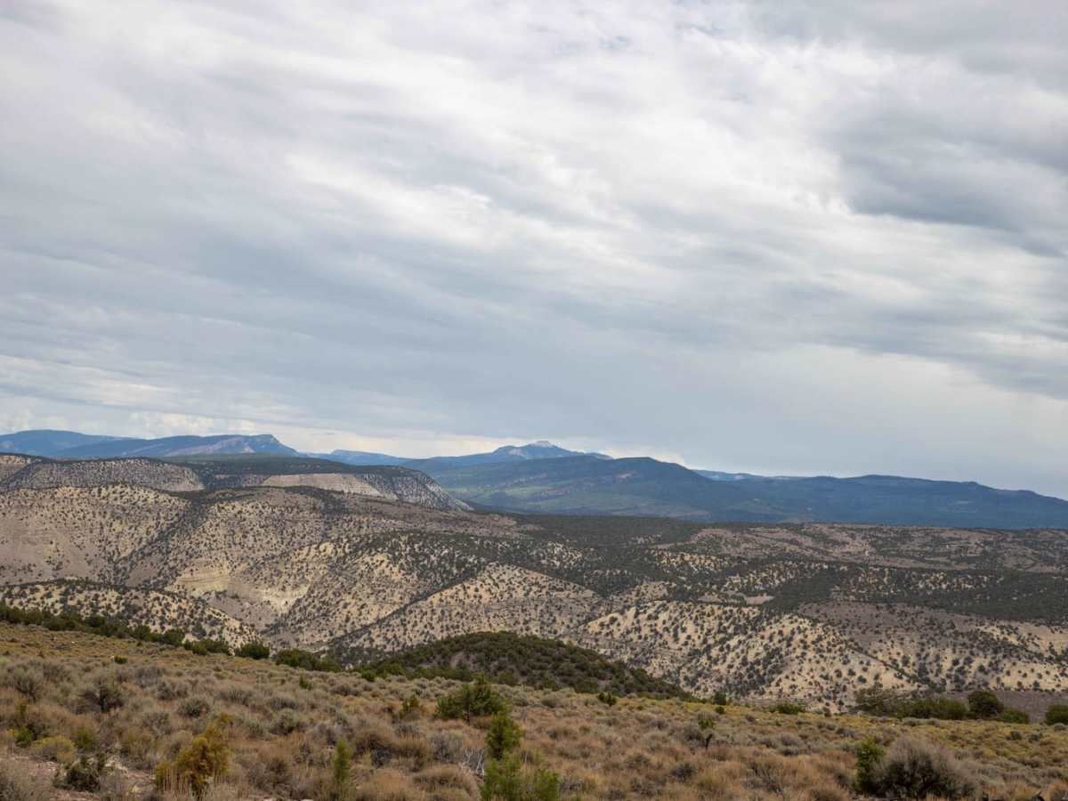 Black Mountain Road photo 5