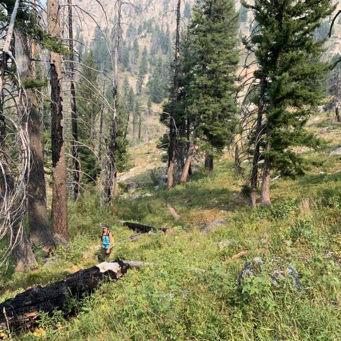 Near Trail Creek Lakes