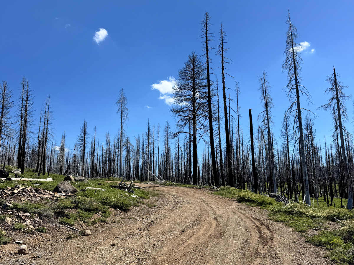 Cirby Tie - FS 26N33 trail photo