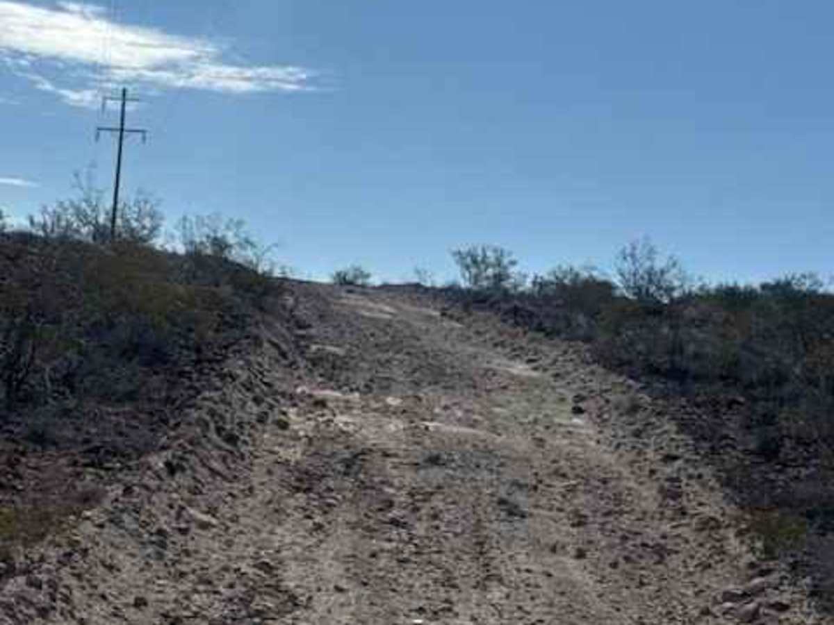 BLM SS1038 photo 6