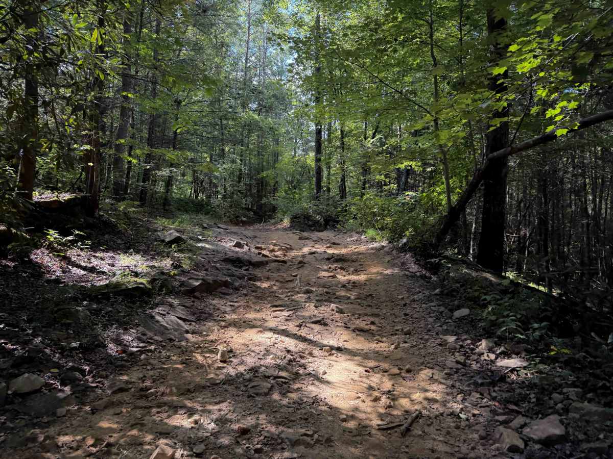 Thirteen Hollow Trail 3   photo 5