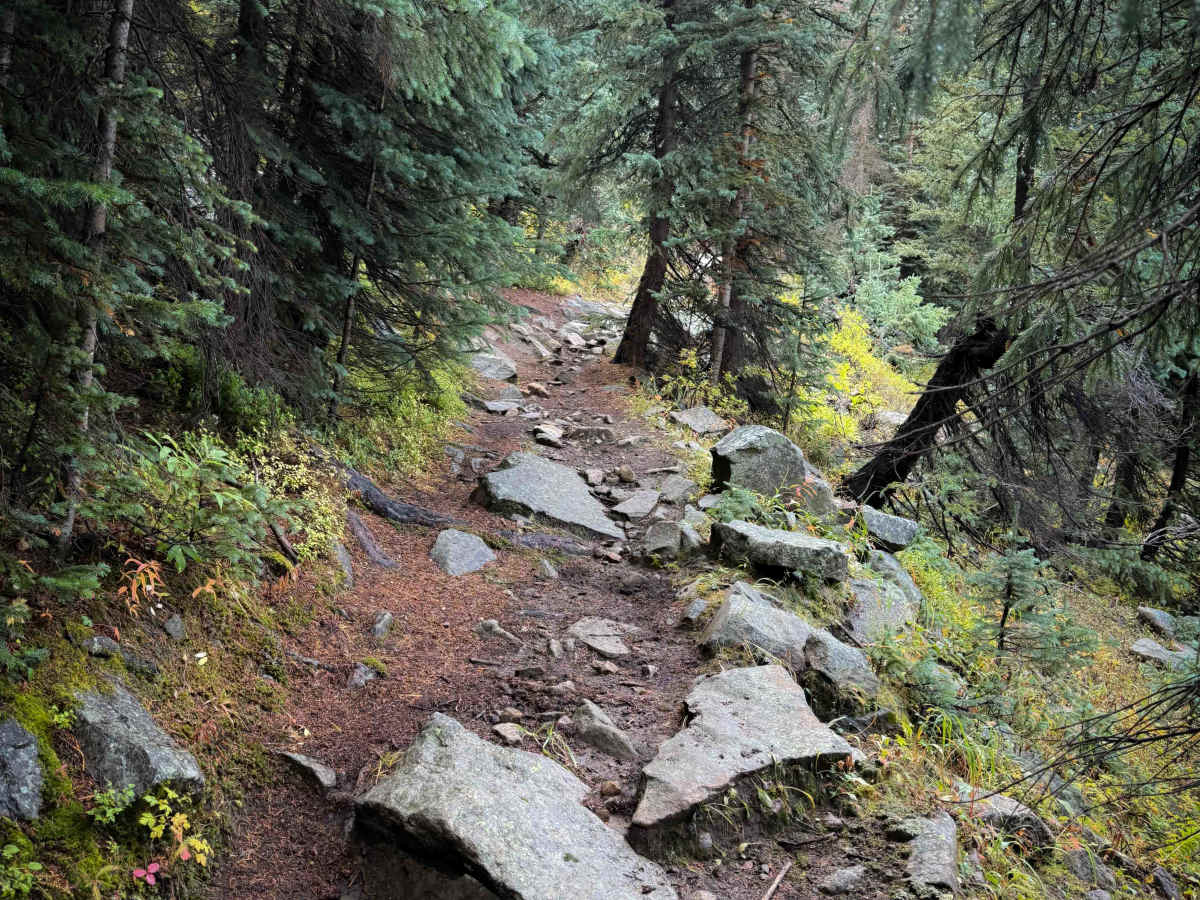 Comales Cutoff Trail  trail photo