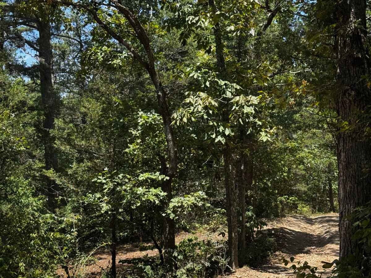 3/4 Trail photo 2