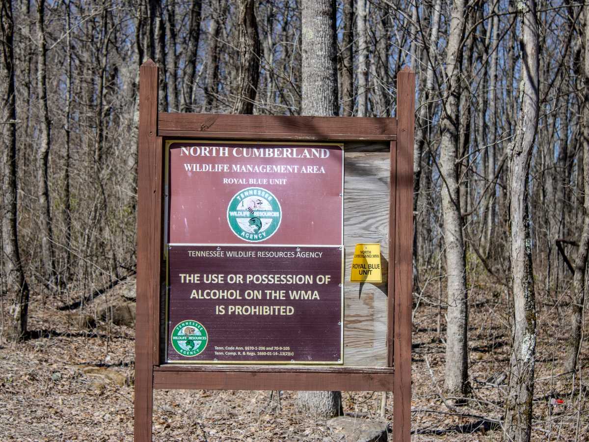 Pine Bald Trail photo 6