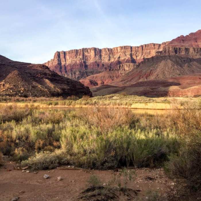 Near The Tanner Trail