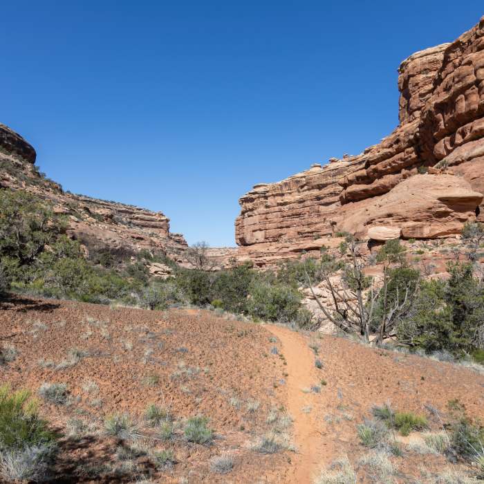 Near Trail Canyon