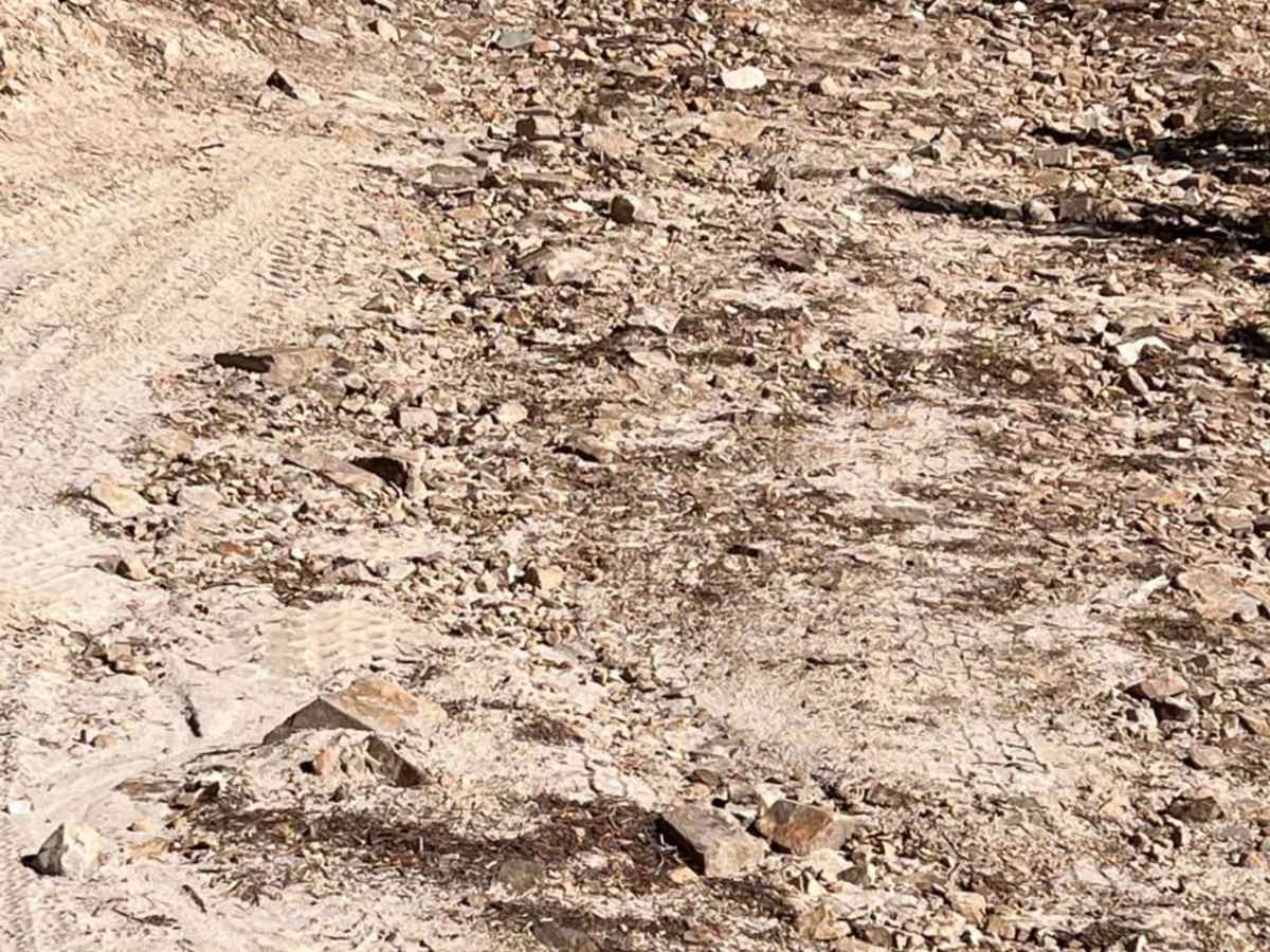 Black Bear Point photo 5