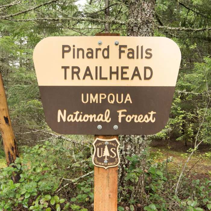 Near Pinard Falls