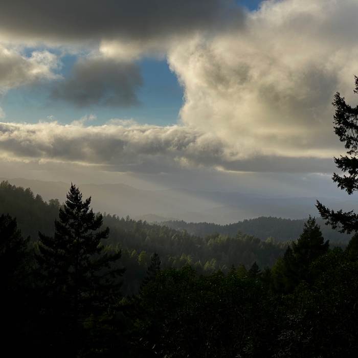 Near State Park Trifecta