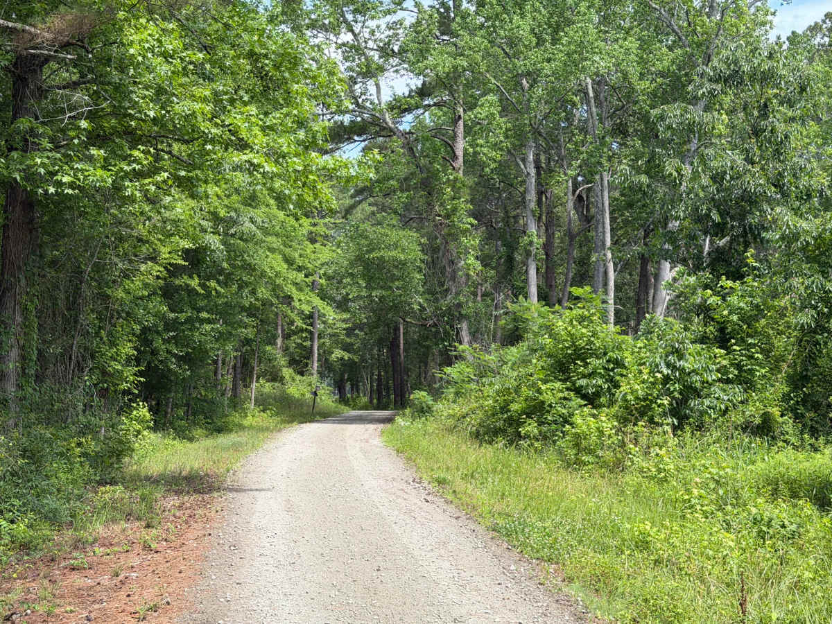 Gaddy Road photo 2