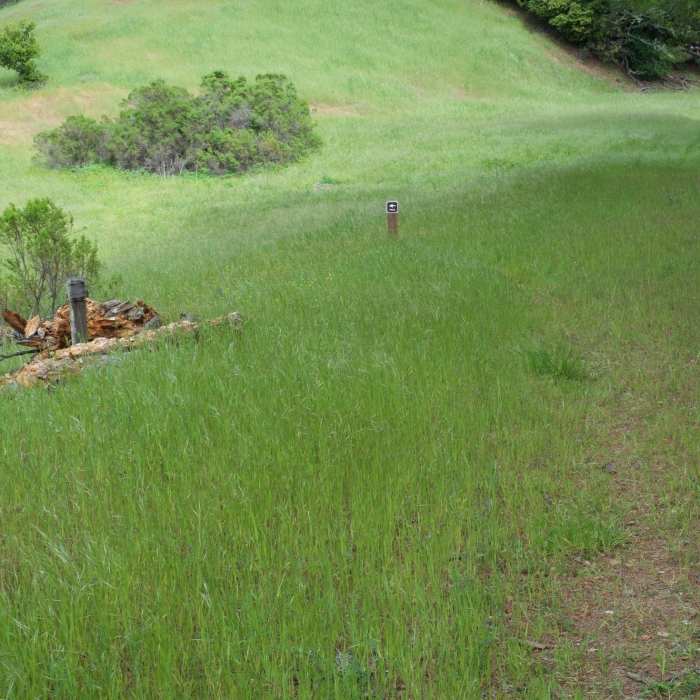 Near Franciscan Loop Trail
