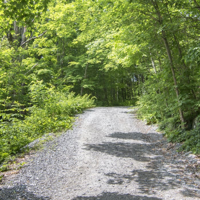 Near Mount Nimham Fire Tower Near Mount Nimham Fire Tower