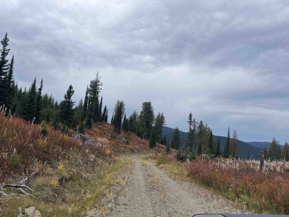 Raydar Rd photo 4