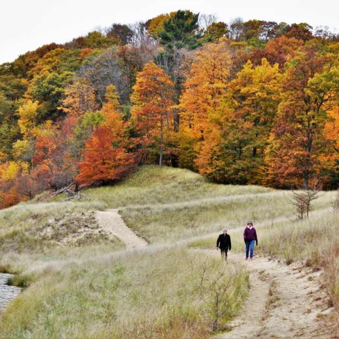 Lakeside trail in fall" by Mike Lozon. Photo courtesy of Ottawa County Parks & Recreation. Near Ottawa Sands Loop