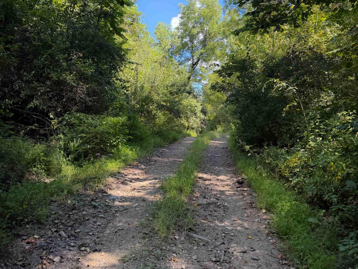 Laco Road 12   photo 5