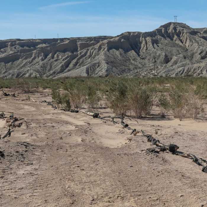 Near Swift Water Trail