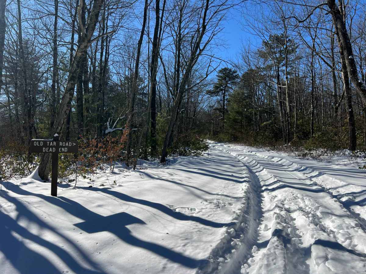 Old Tar Road trail photo