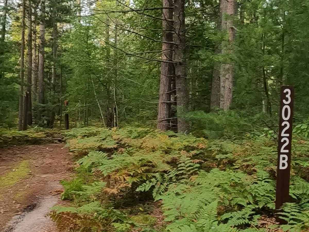 Carl Spur B - FS 3022B trail photo