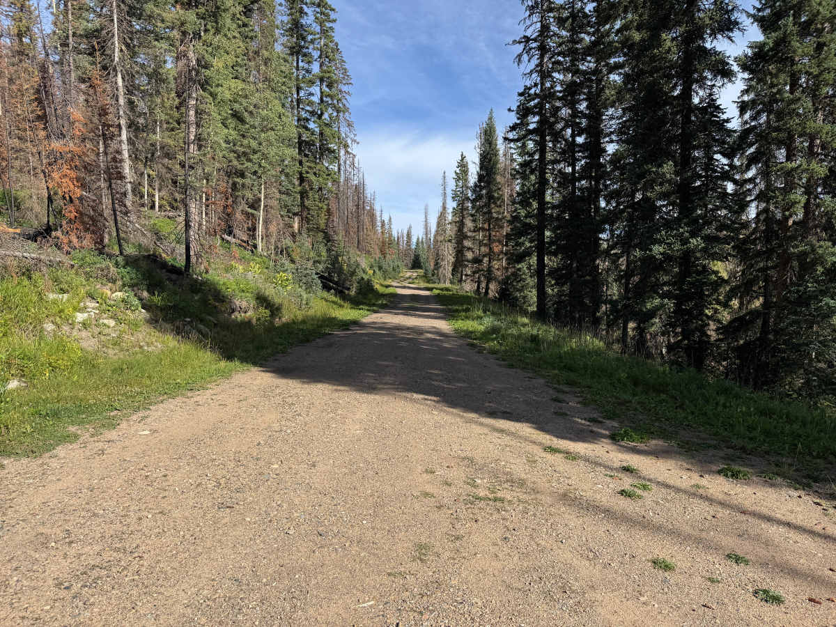 Taylor Mesa Road photo 6