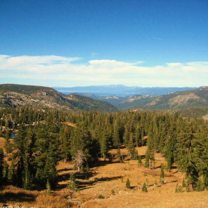 Near Showers Lake, Little Round Top peak from Schneider Cow Camp, hwy 88