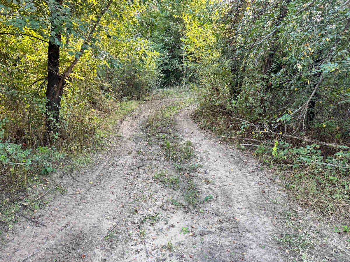 Garage Pass trail photo