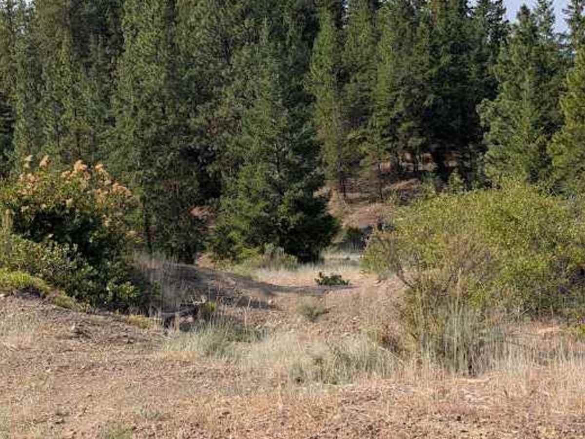 Cougar Spur - FS 9718-118 photo 6
