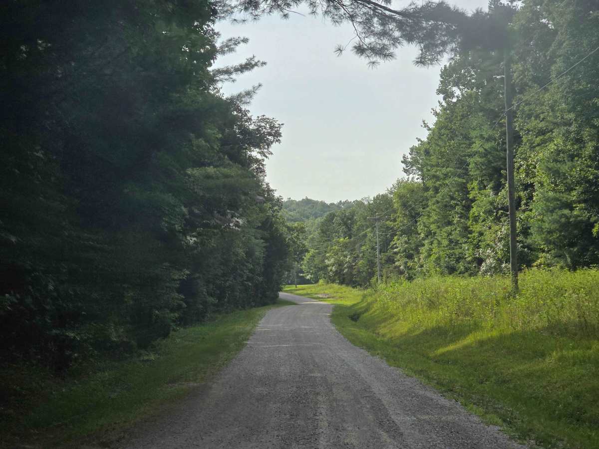 Bandy Creek Road photo 3