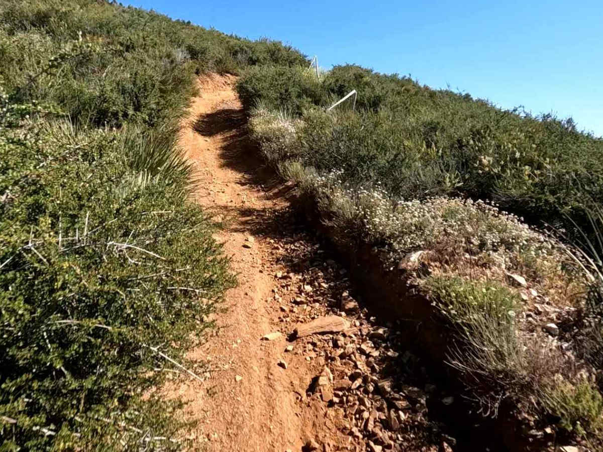 Ridge Trail photo 2