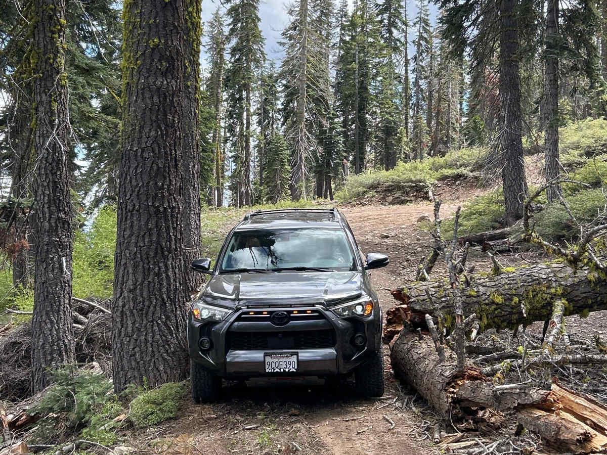 Mosquito Ridge Trail  photo 5
