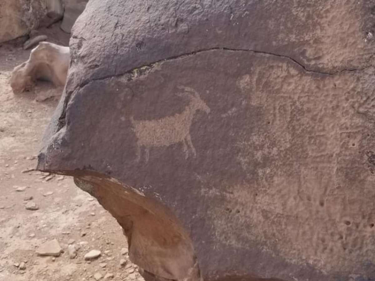 Black Mountain Petroglyph Site trail photo