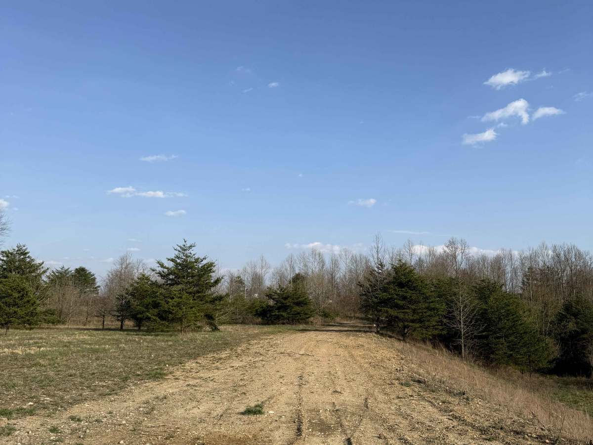 Q25  photo 3