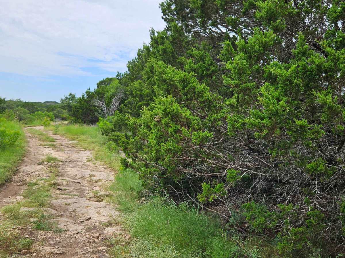 Cantina Trail photo 5