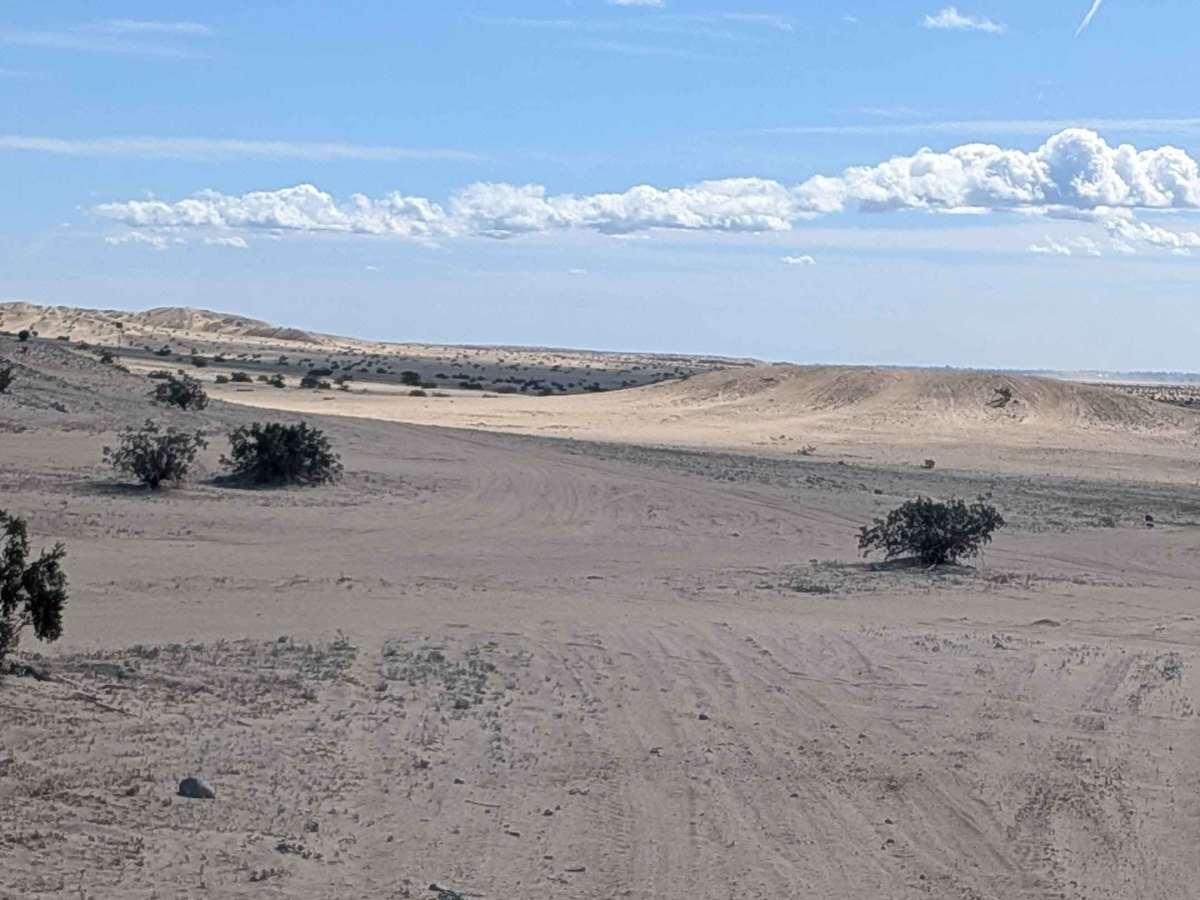 BLM 206 trail photo