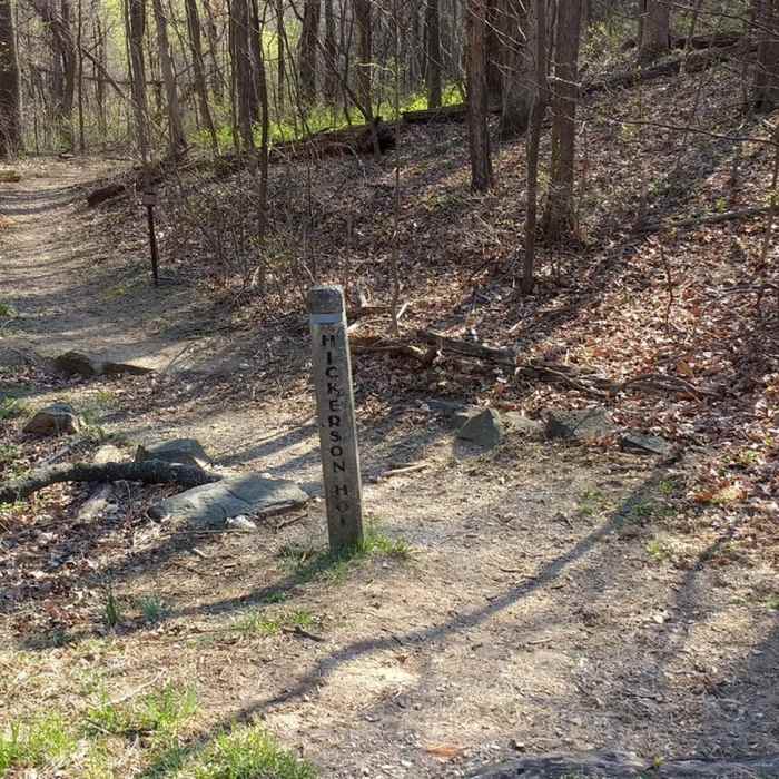 Near Lands Run Falls