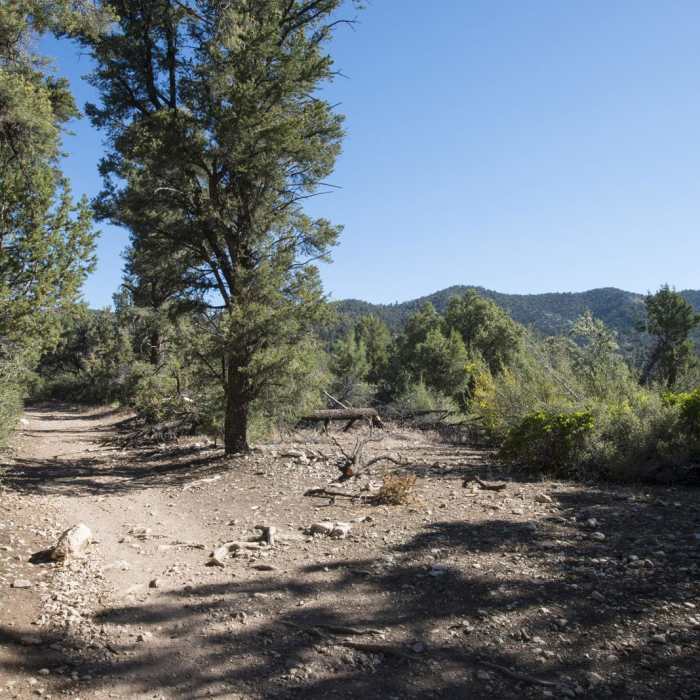 Near Bertha Peak Hike