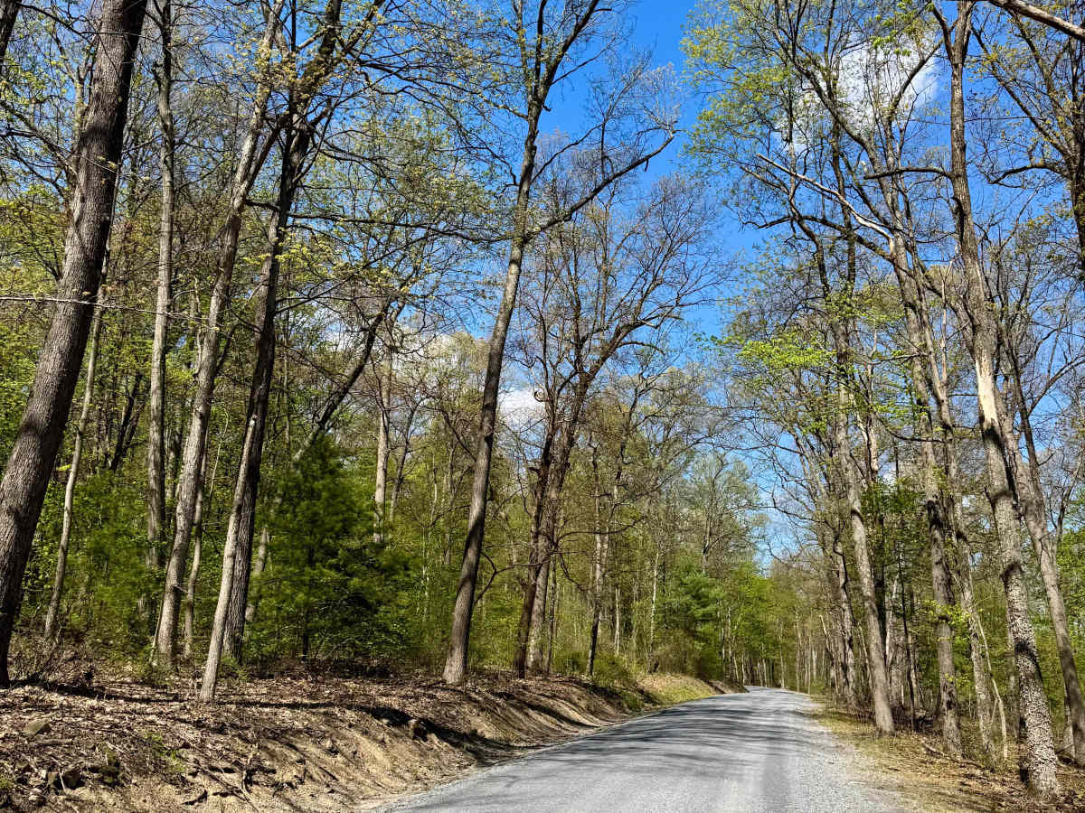 Licking Creek Dr trail photo