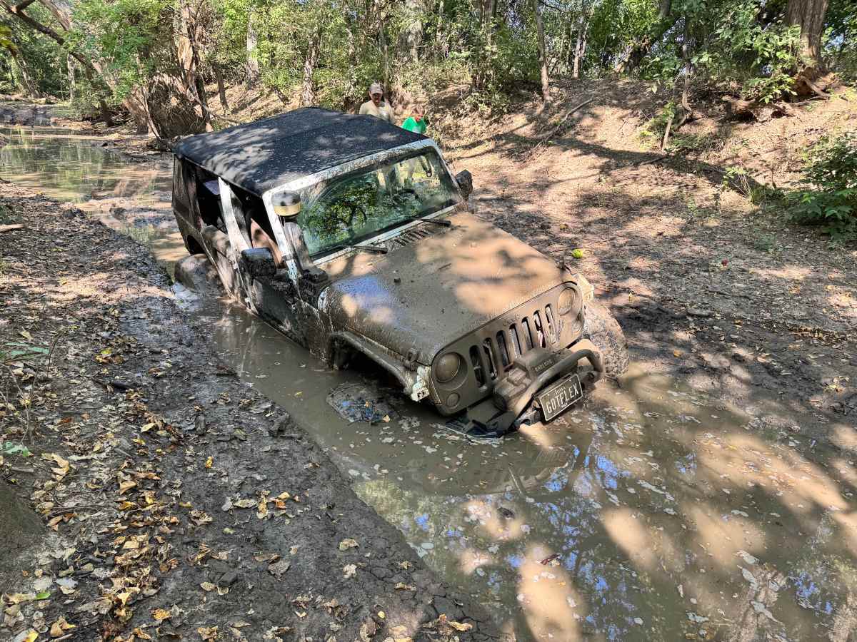 Champlin's Challenge trail photo