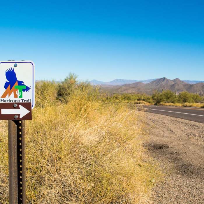 Near Wild Horse Trail