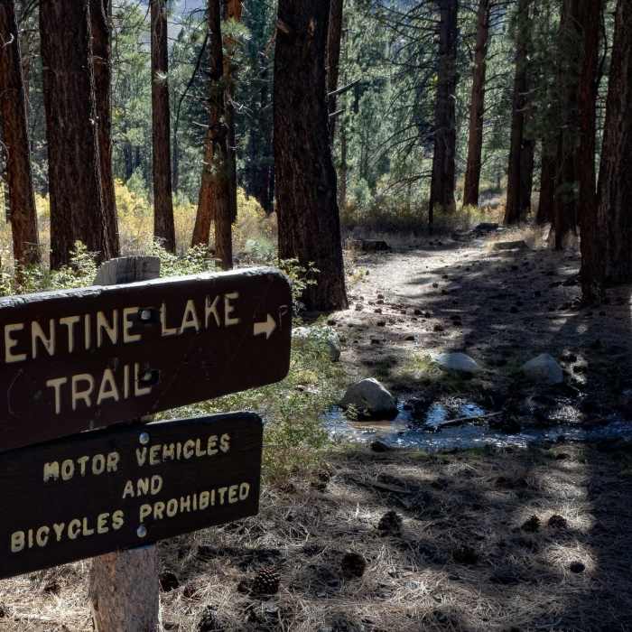 Near Valentine Lake Trail