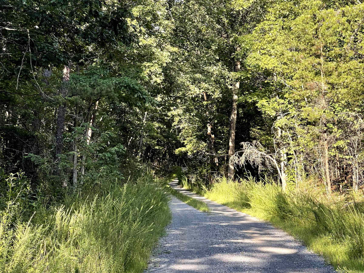FS 5027 trail photo