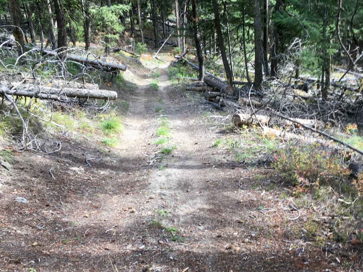 Kerlee Ridge ATV photo 2