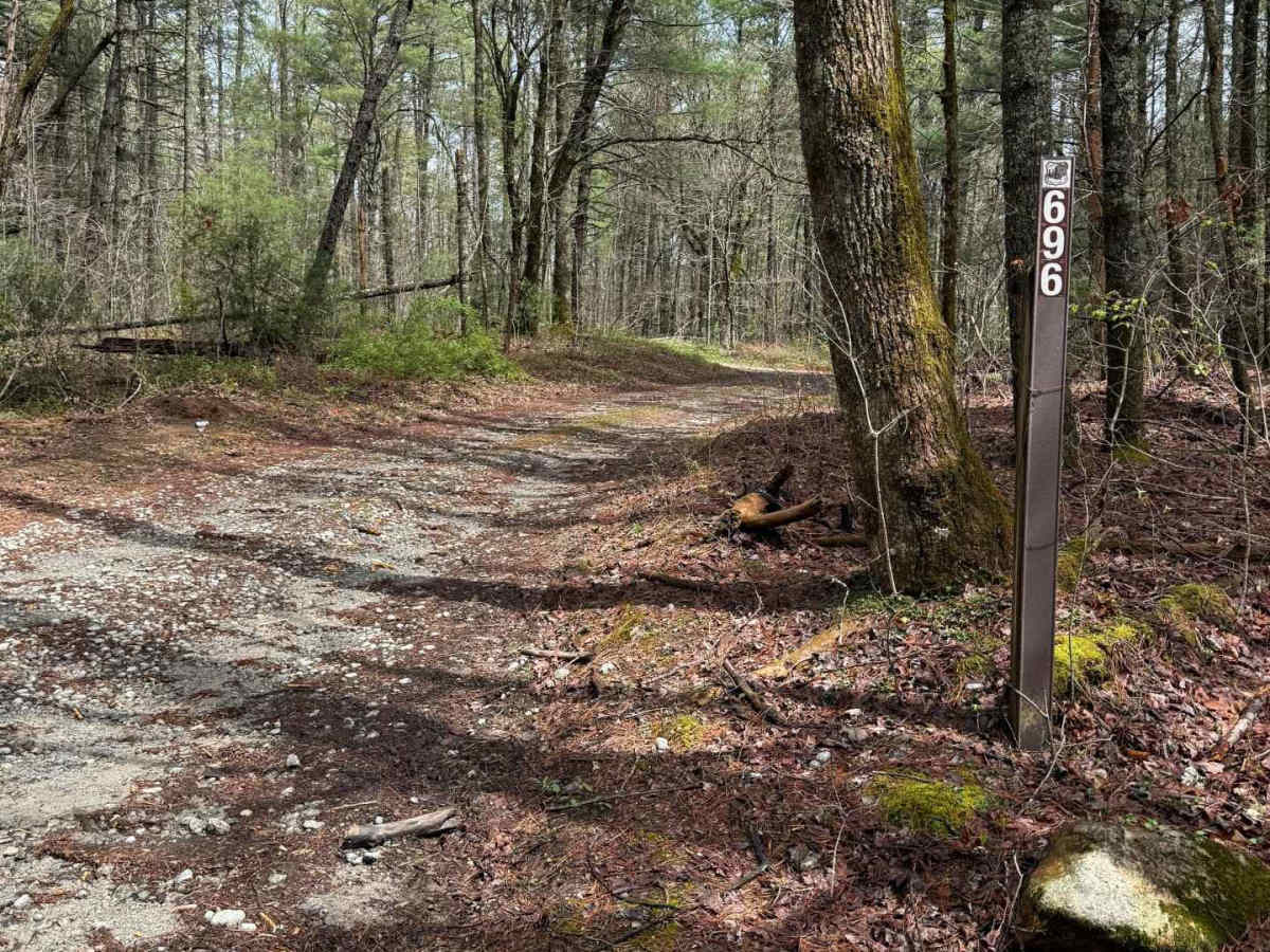 Holcomb Creek - FS 696 trail photo