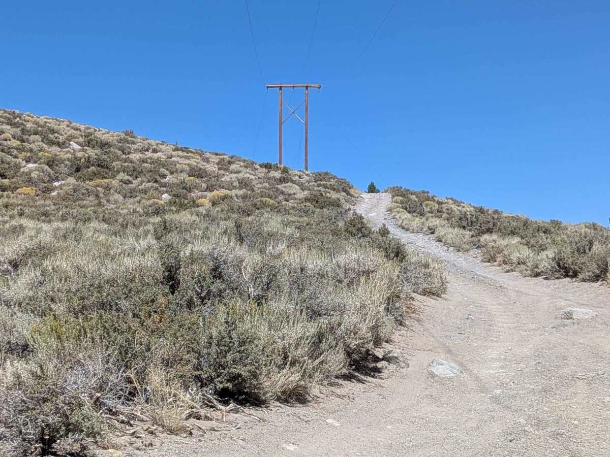 FS 1S105 trail photo