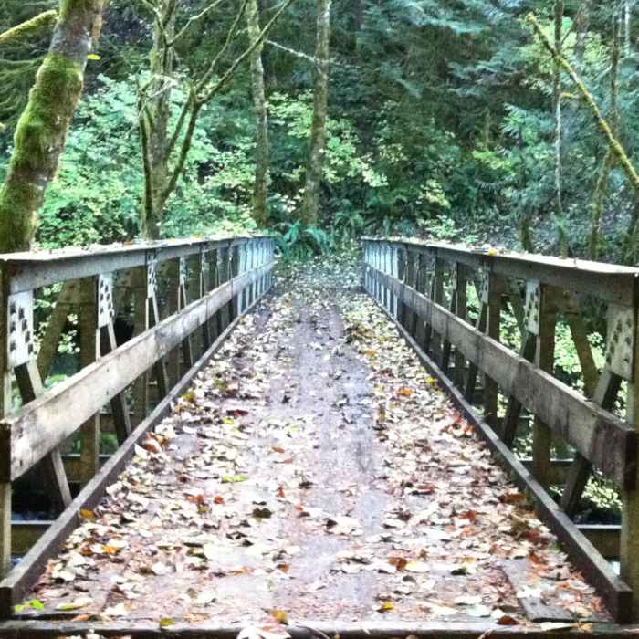 Near Pacific Crest Falls Hike via Herman Bridge Trail