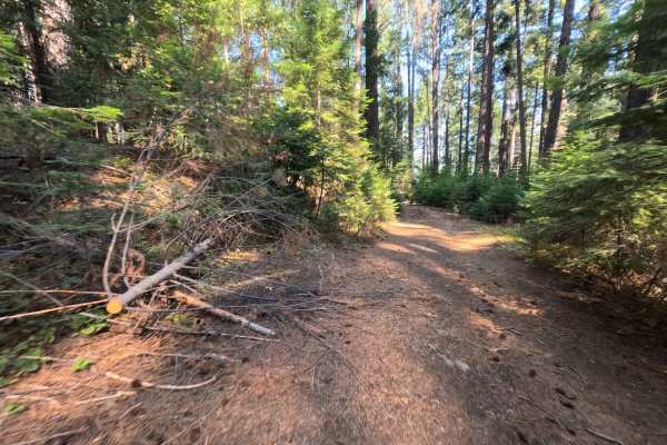 Moores Flat Diggings - FS 833-008