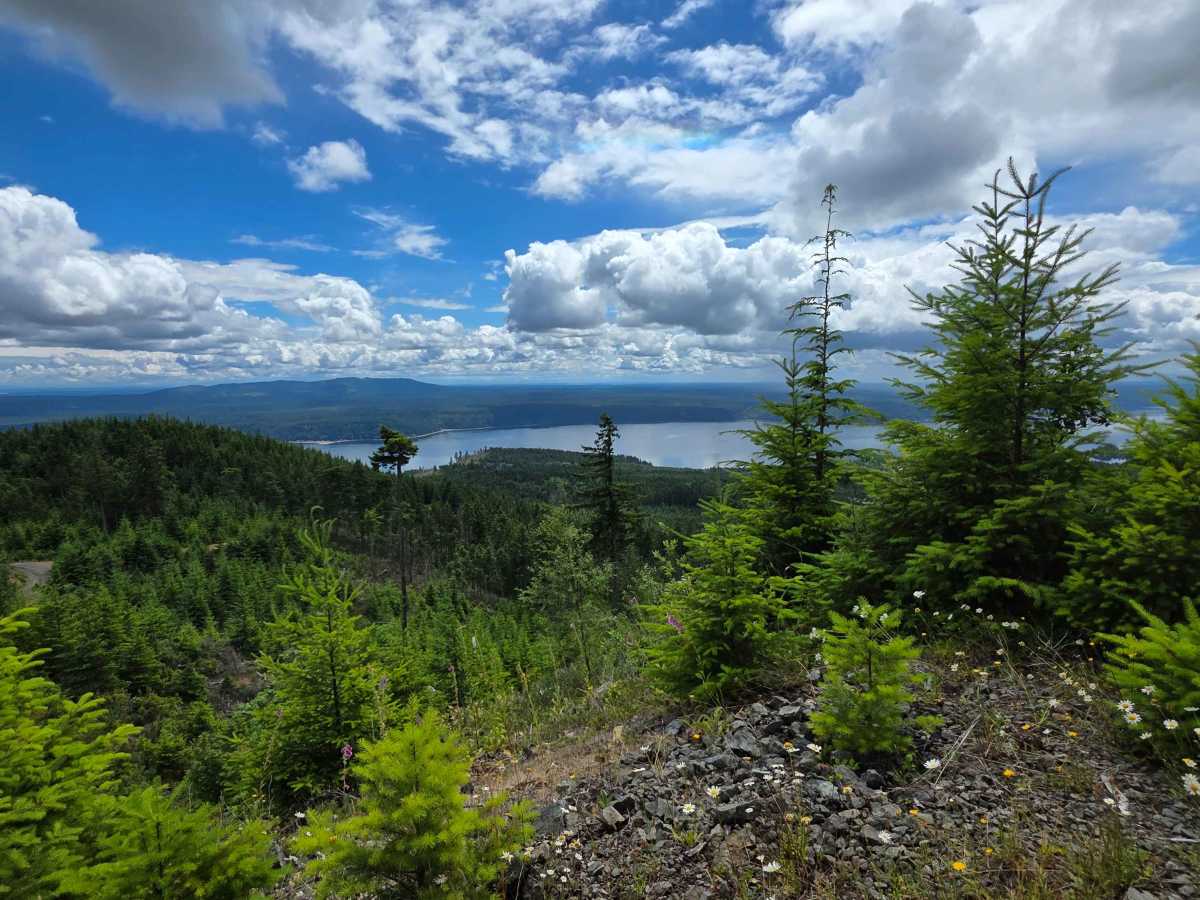 McDonald Creek trail photo
